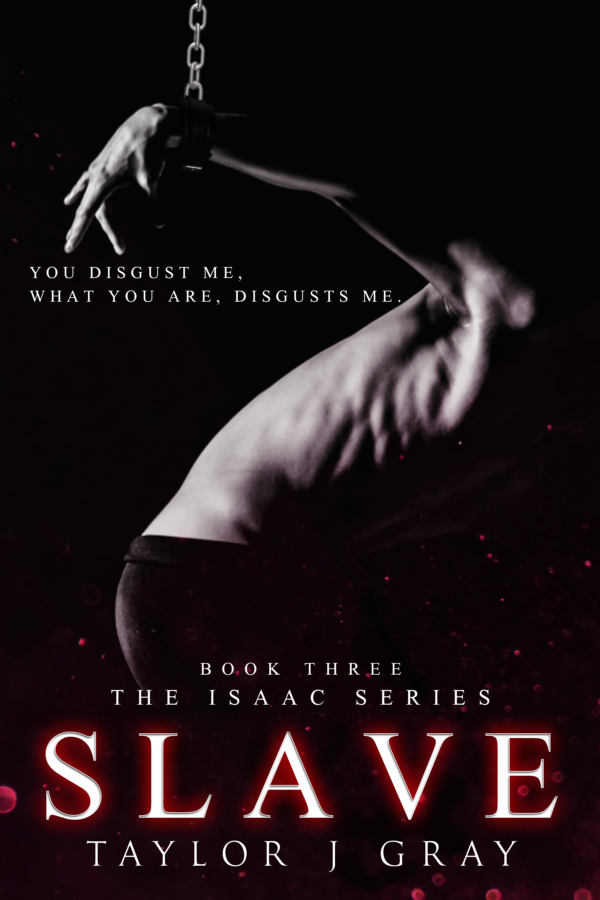 Slave Paperback