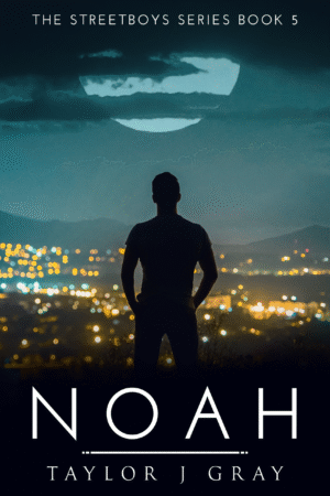 Noah Paperback