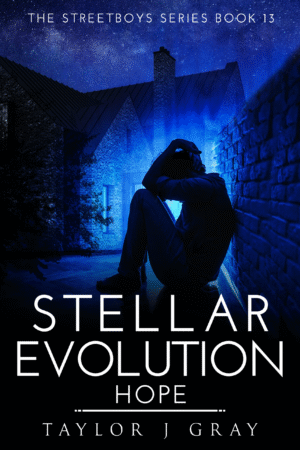Stella Evolution Paperback