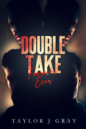 Double Take - Part 3 Paperback
