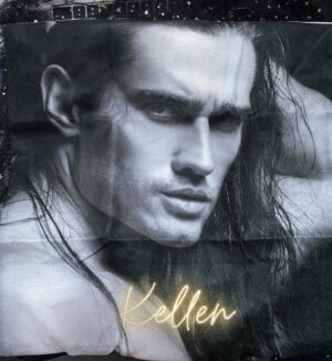 Kellen Cushion with insert